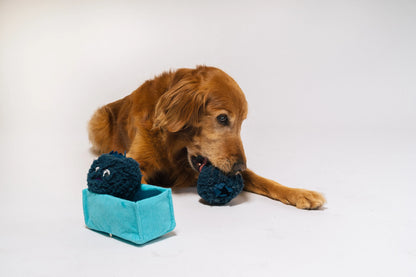 Іграшка для собак Farm Fresh Collection – Blueberries Tray Pet Play