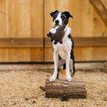 Іграшка для собак Barnyard Buddies – Коник Harley the Horse Pet Play