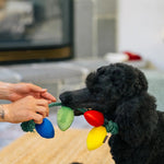 Іграшка для собак Holiday Lights – Home for the Holidays Pet Play