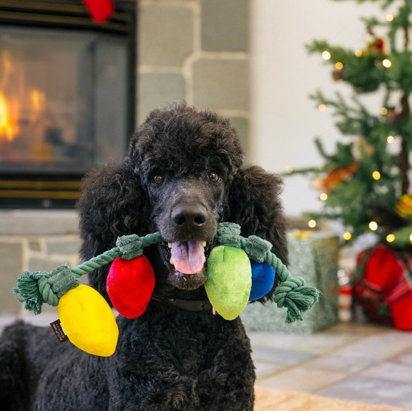 Іграшка для собак Holiday Lights – Home for the Holidays Pet Play