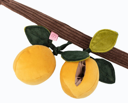 Пошукова м’яка іграшка для собак Абрикоси Harley&Cho