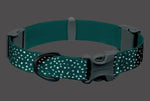 Водостійкий нашийник для собак Ruffwear Confluence бірюзовий