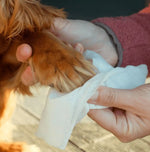 Вологі серветки біорозкладні бамбукові Beco Pets без запаху 20 шт.