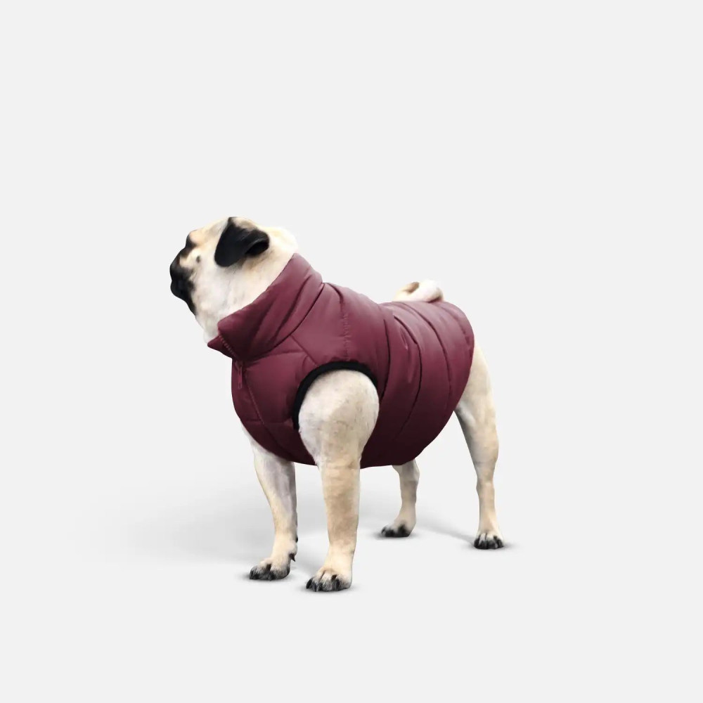 Куртка для собак Scotty Bordo - Noble pet, XS