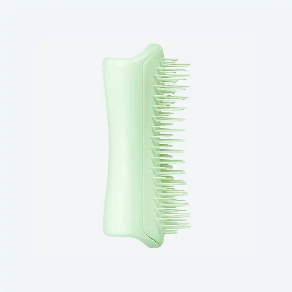Щітка для вичісування собак Pet Teezer Mini Green