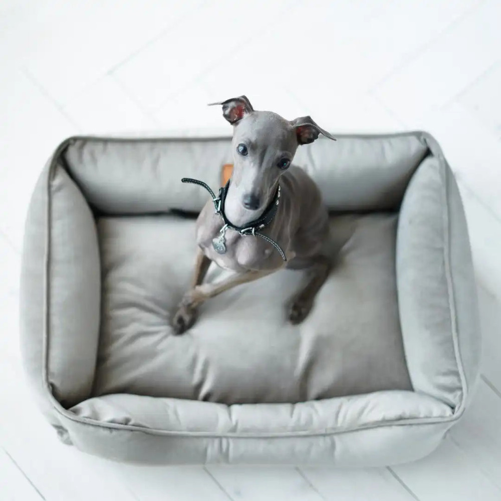 Лежанка для собак Dreamer Velur Gray - Harley&Cho, (60*40 см.) - S