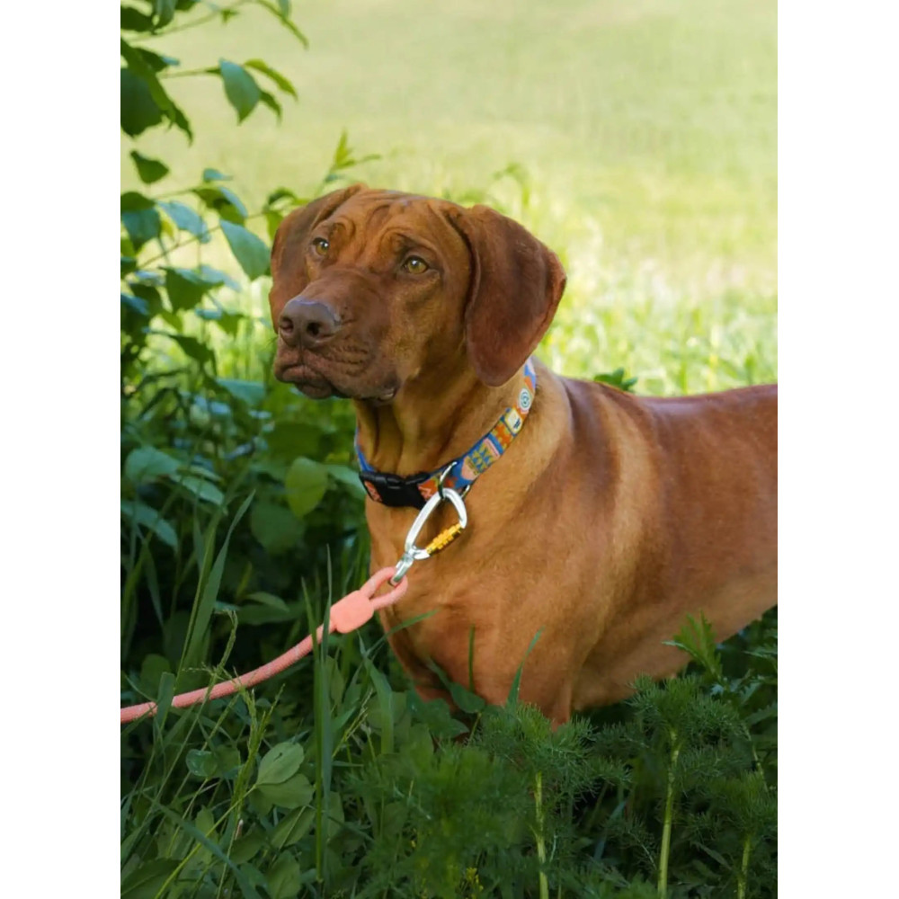 Повідець Woolly Wolf Rope Leash Pigeon Salmon Pink - 180см., 8мм