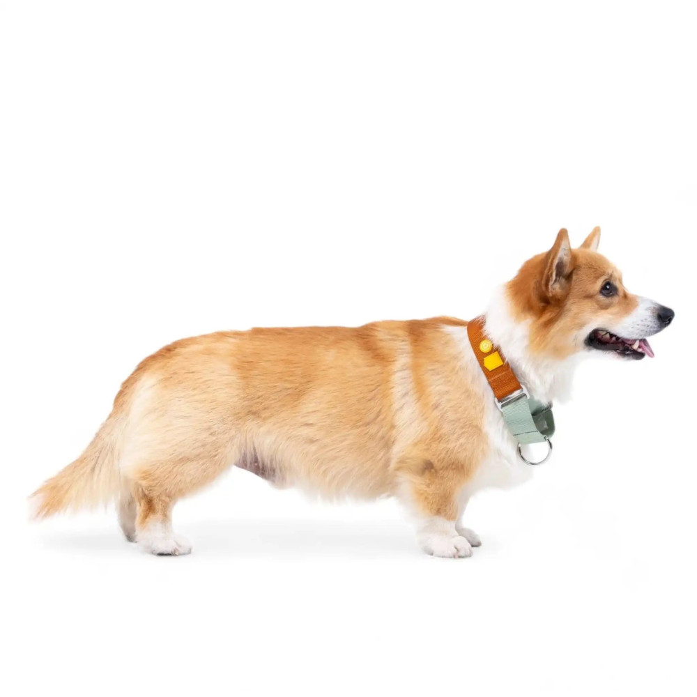 Нашийник для собак Martingale Color Block Terracotta Mix Woolly Wolf, S