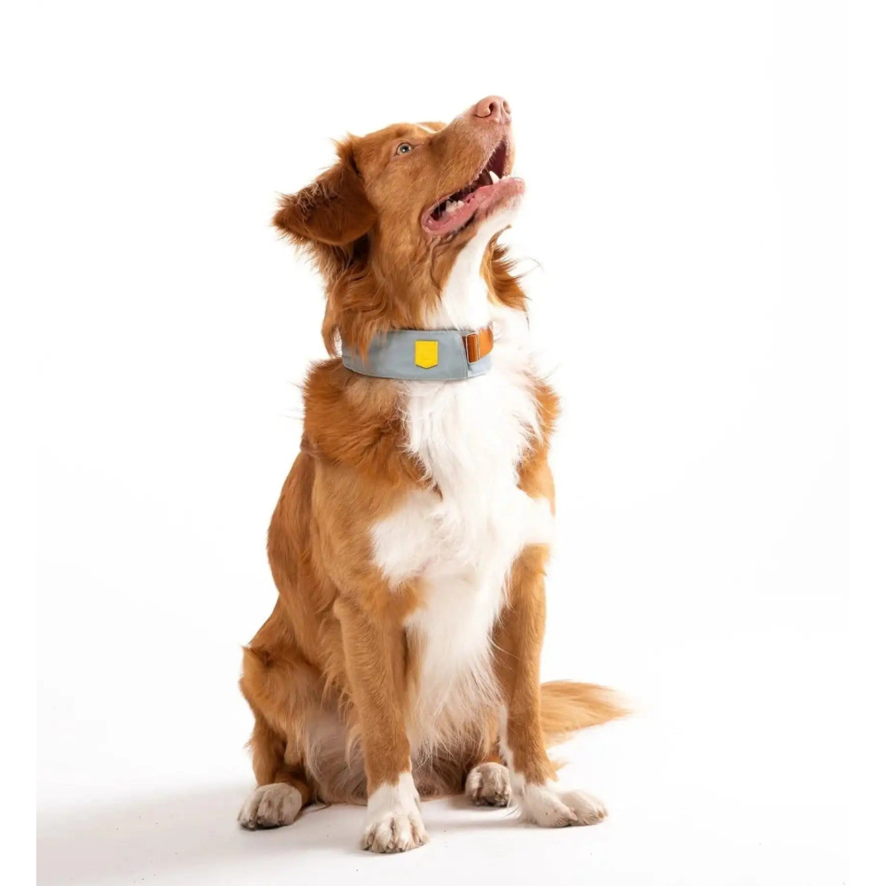 Нашийник Woolly Wolf Alpha 360 Collar Glacier Green Mix, S