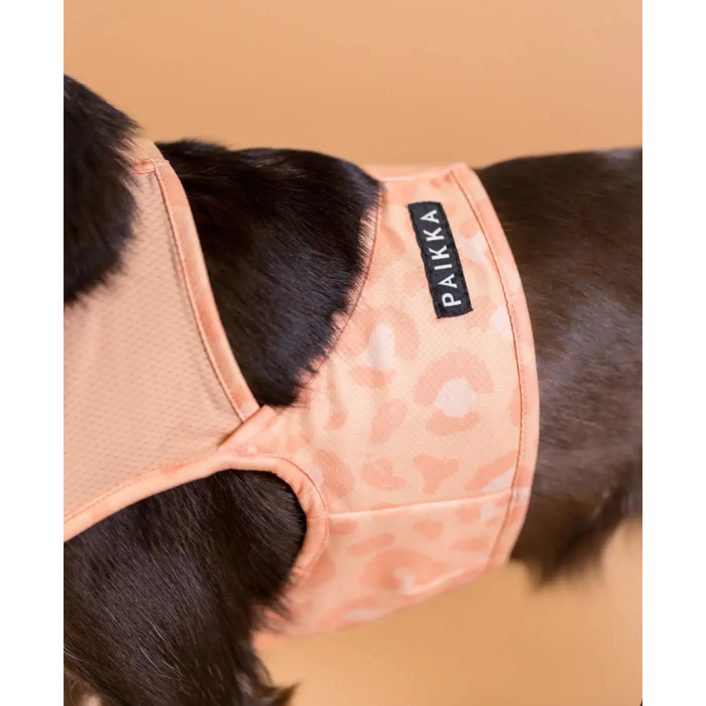 Охолоджуючий жилет для собак PAIKKA Cool Vest Peach, XXS