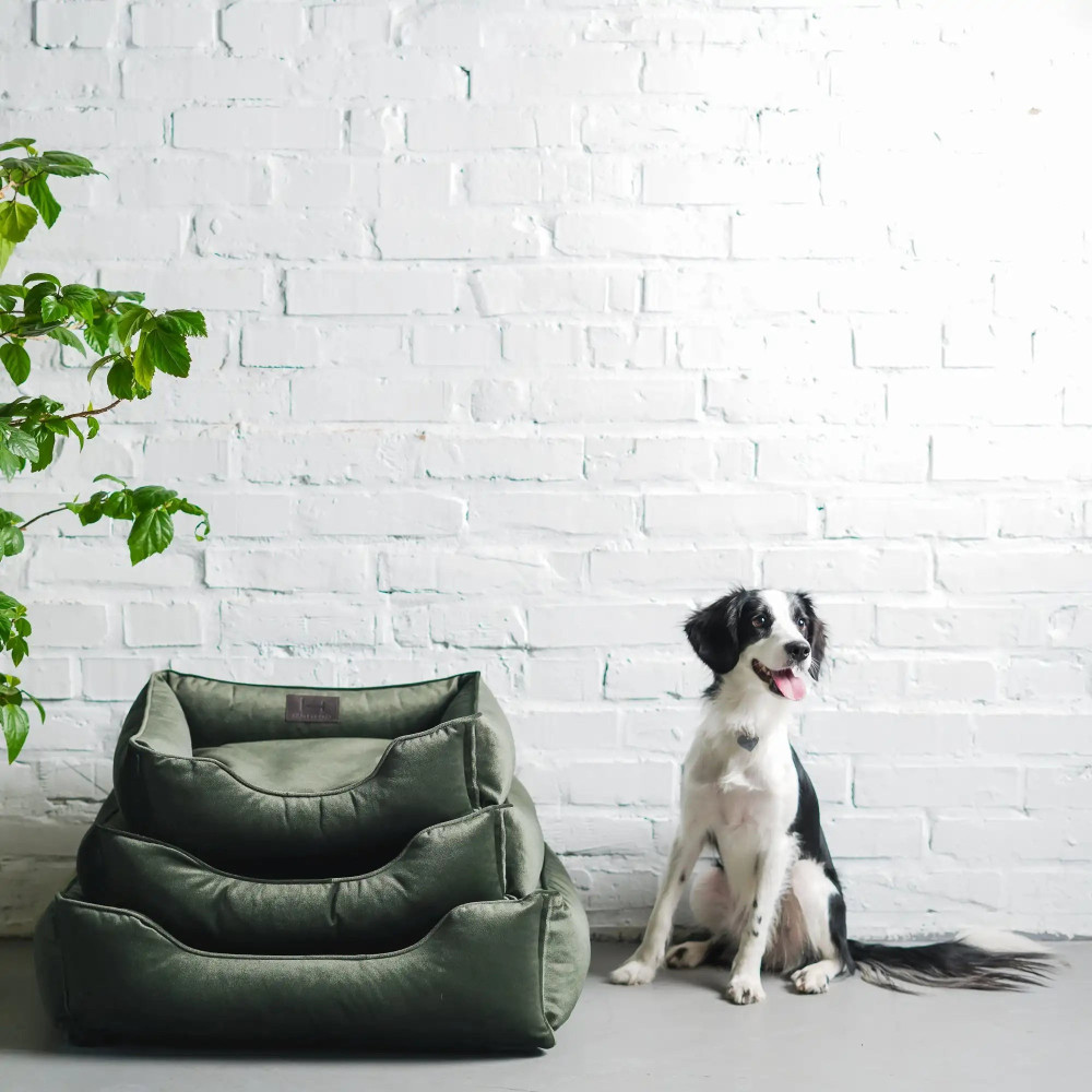 Лежанка для собак Velur Green - Harley&Cho, (60*40 см.) - S