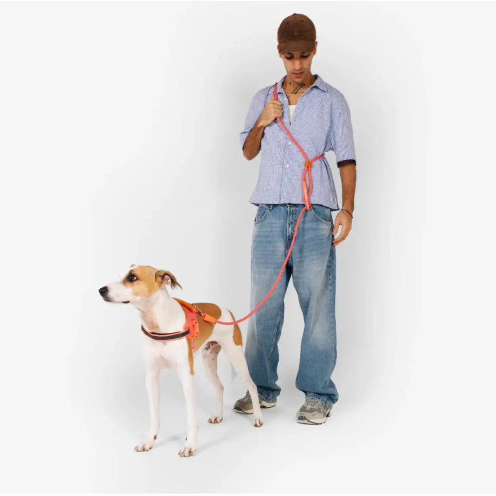 Повідець вільні руки Zee dog Hands-Free Leash Gazelle 120 - 240 см, 120 - 240см