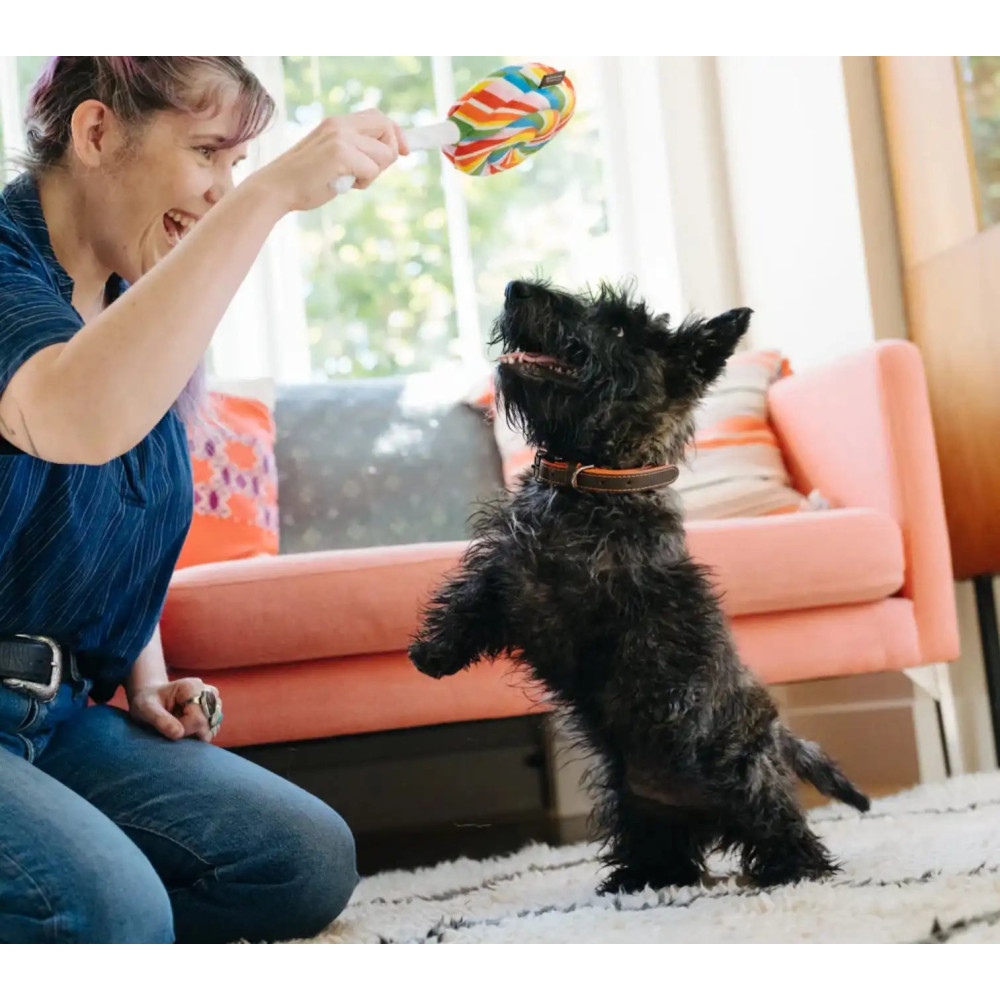 Іграшка для собак Snack Attack - Lollipup Pet Play, Mini
