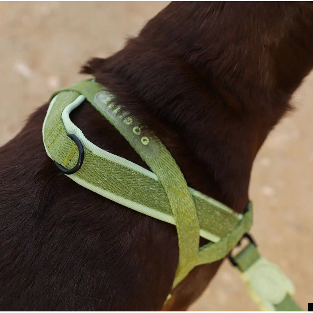 Шлея для собак Zee.Dog - MOSS SOFTER WALK HARNESS, S