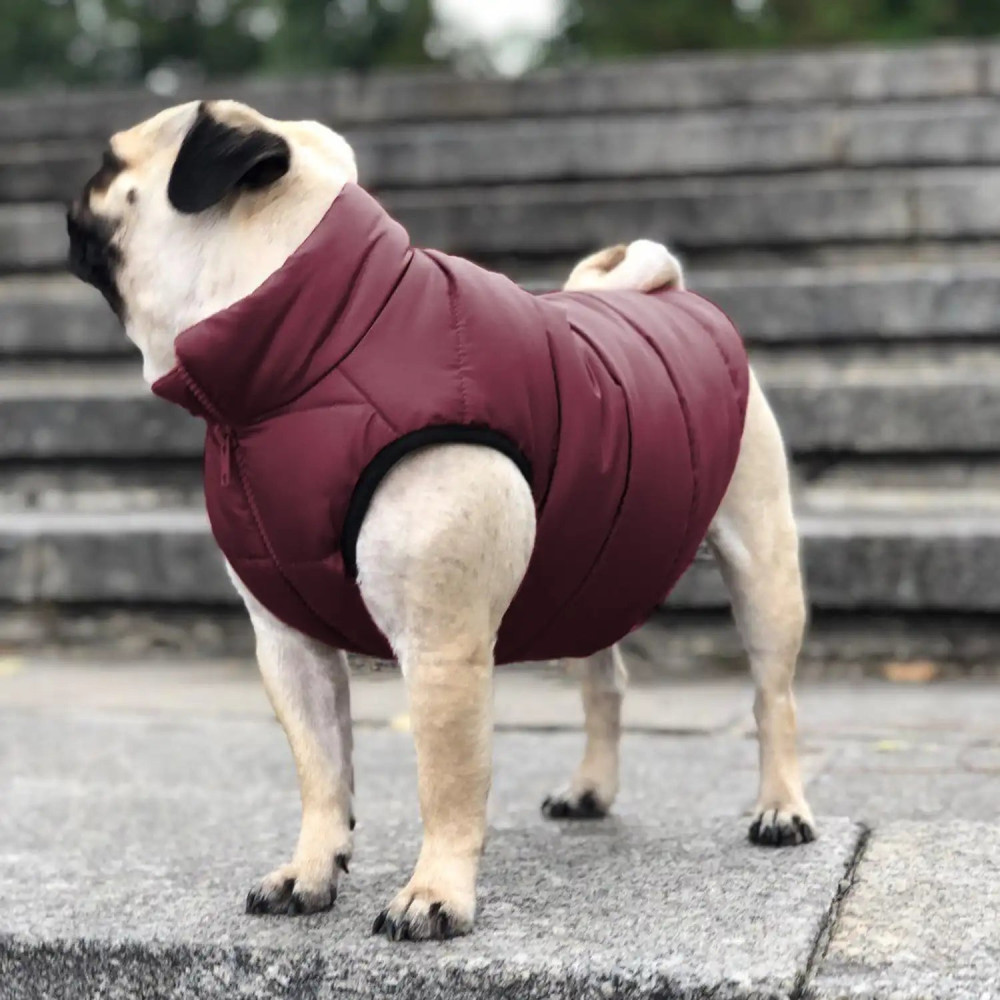 Куртка для собак Scotty Bordo - Noble pet, XS