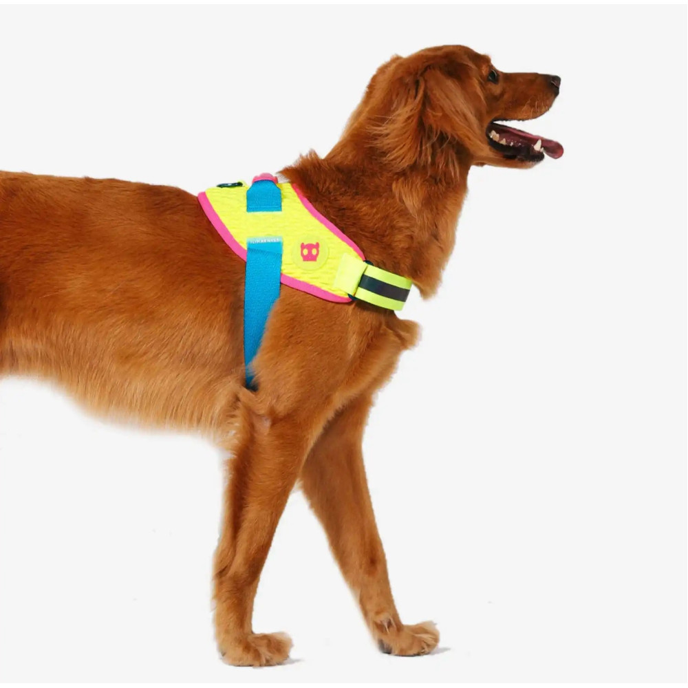 Шлея для собак Zee.Dog - CMYK FlyHarness, 1
