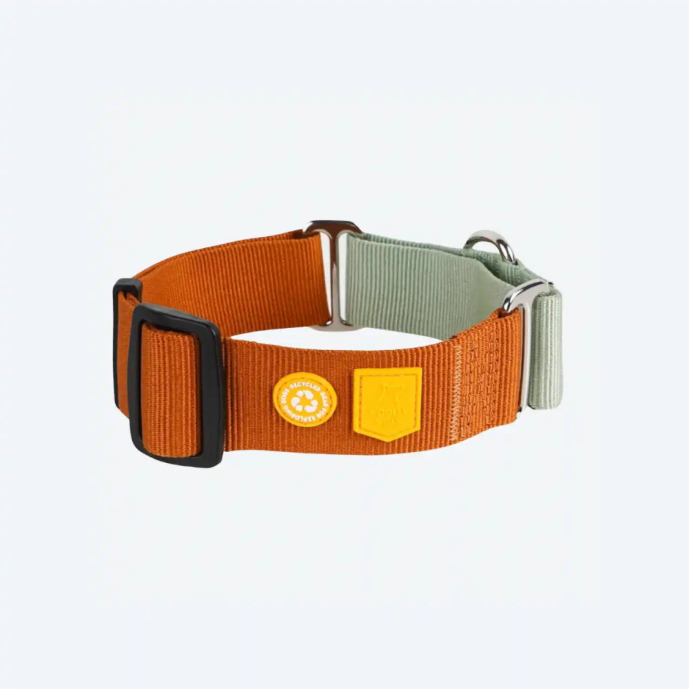 Нашийник для собак Martingale Color Block Terracotta Mix Woolly Wolf, S