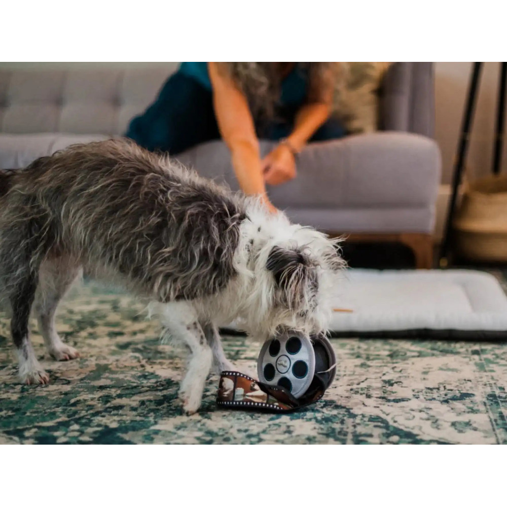 Іграшка для собак Hollywoof Cinema Collection - Momo's Movie Reel Pet Play