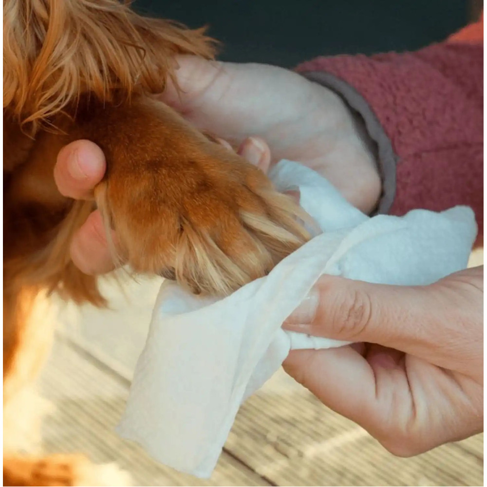 Вологі серветки біорозкладні бамбукові Beco Pets без запаху 20 шт., 20шт.  - фото 2