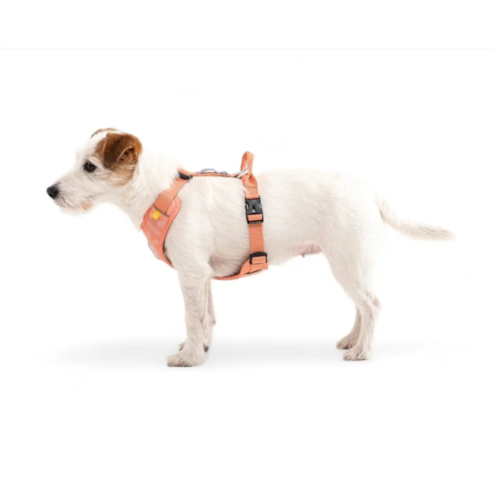 Шлея для собак Woolly Wolf Roam Harness Salmon Pink, XS