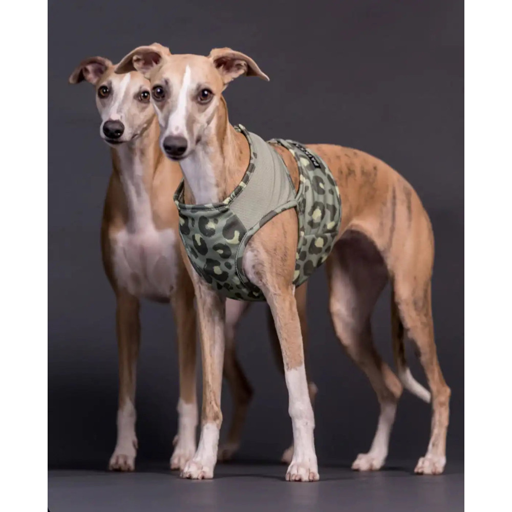 Охолоджуючий жилет для собак PAIKKA Cool Vest Green Leo, XXS