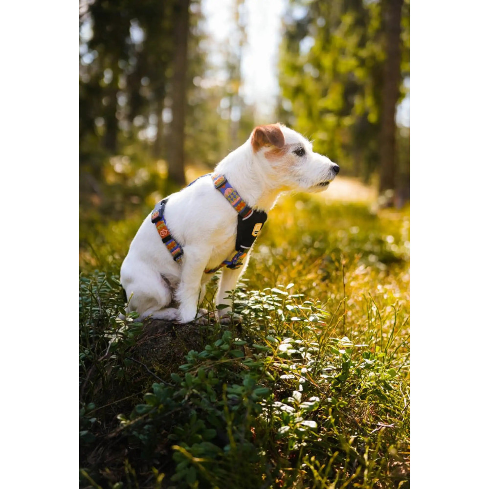Шлейка Woolly Wolf Nightless Night Harness, XXS