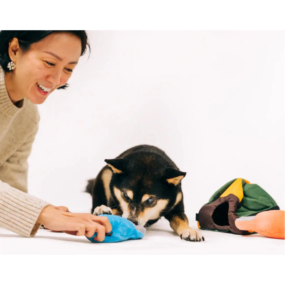 Іграшка для собак Camp Corbin - Tent Pet Play