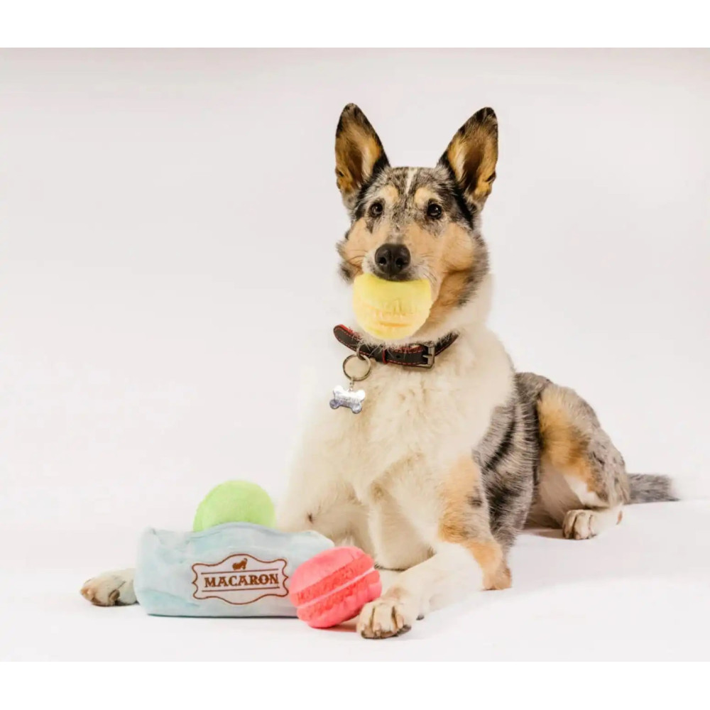 Іграшка для собак Pup Cup Cafe - Mutt-a-rons Pet Play, Mini