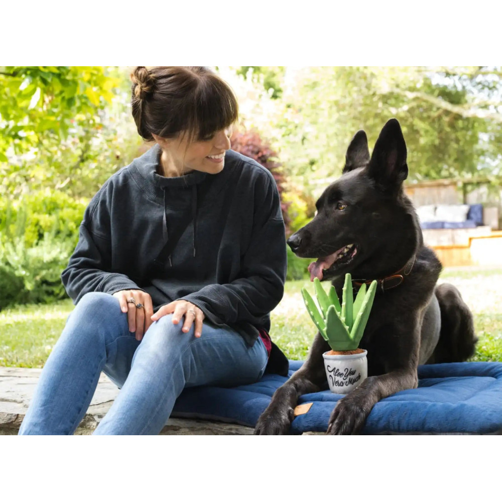 Іграшка для собак Blooming Buddies Collection - Aloe-ve You Plant Pet Play