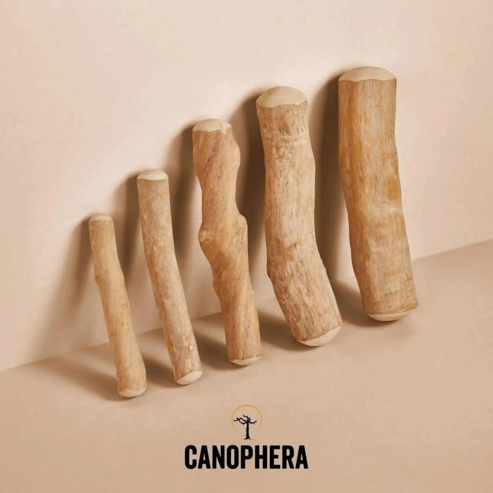 Палиця для собак з кавового дерева Canophera - XХS