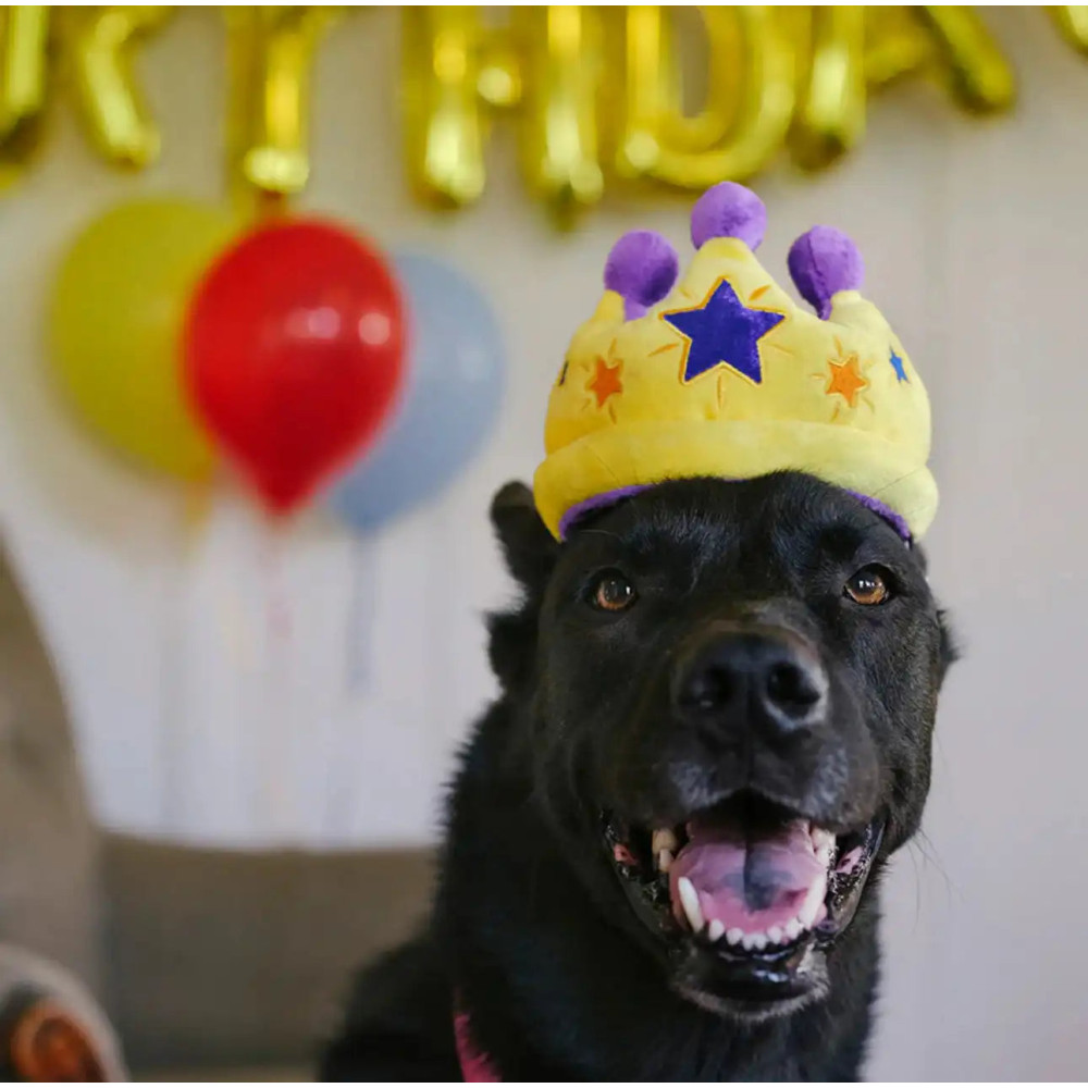 Іграшка для собак Party Time Collection - Crown Pet Play, Mini