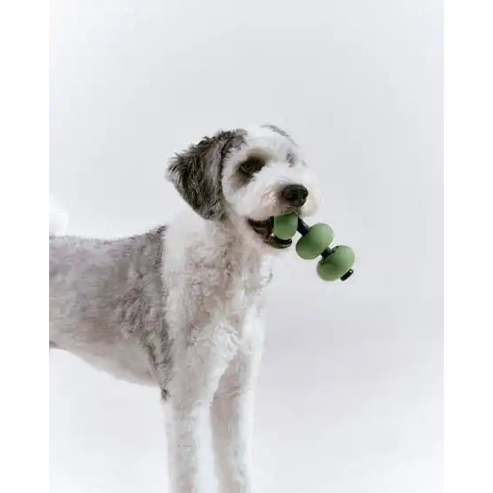 Roika Інтерактивна іграшка для собак Dango Olive green, Зелений