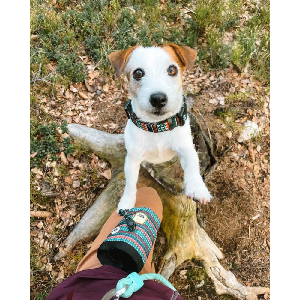 Сумка для ласощів Woolly Wolf Woodland Dog Snack Bag