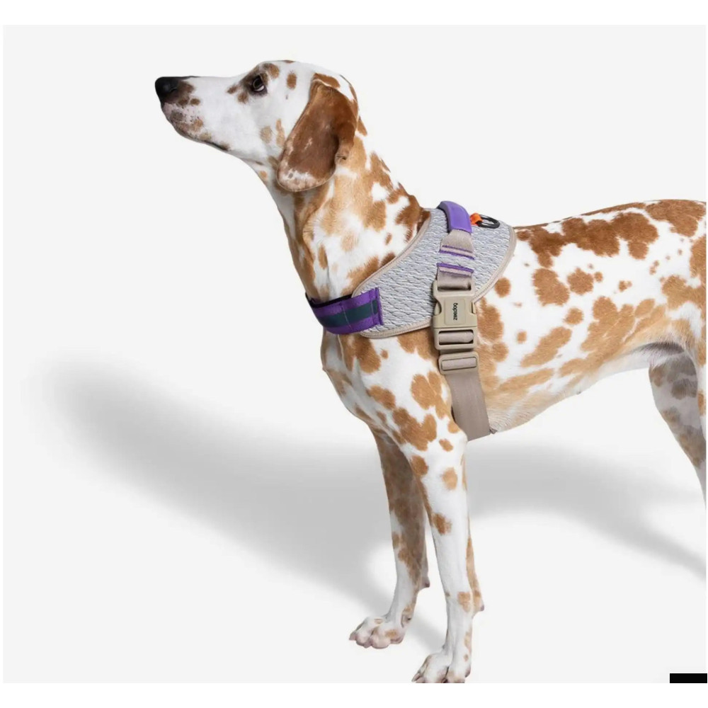 Шлея для собак Zee.Dog - ACG FlyHarness, 1