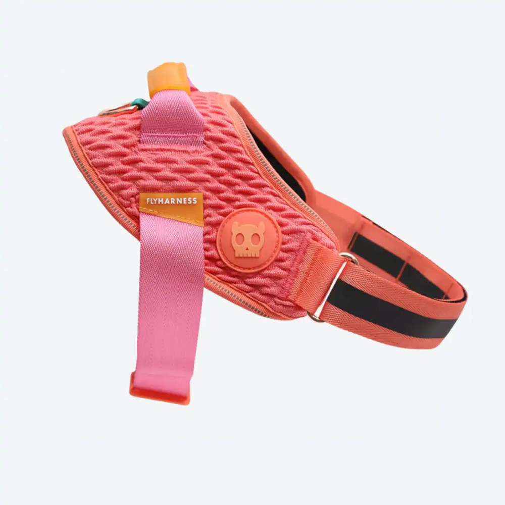 Шлея для собак Zee.Dog - Gazelle FlyHarness, 1
