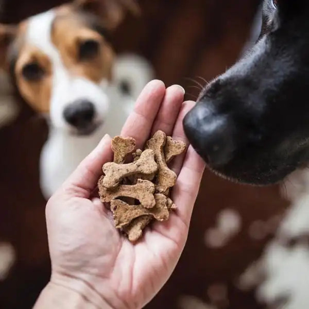 Натуральне печиво для собак Cooka`s Cookies Яловичина з овочами 100 г, 100 грам.