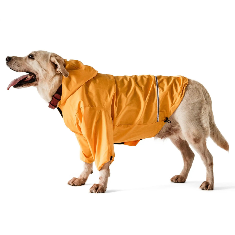 Дощовик для собак Moss Yellow - Noble pet, XS