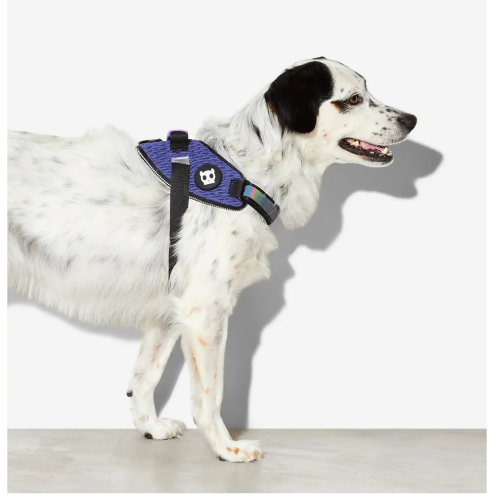 Шлея для собак Zee.Dog - Wicked FlyHarness blue, 1