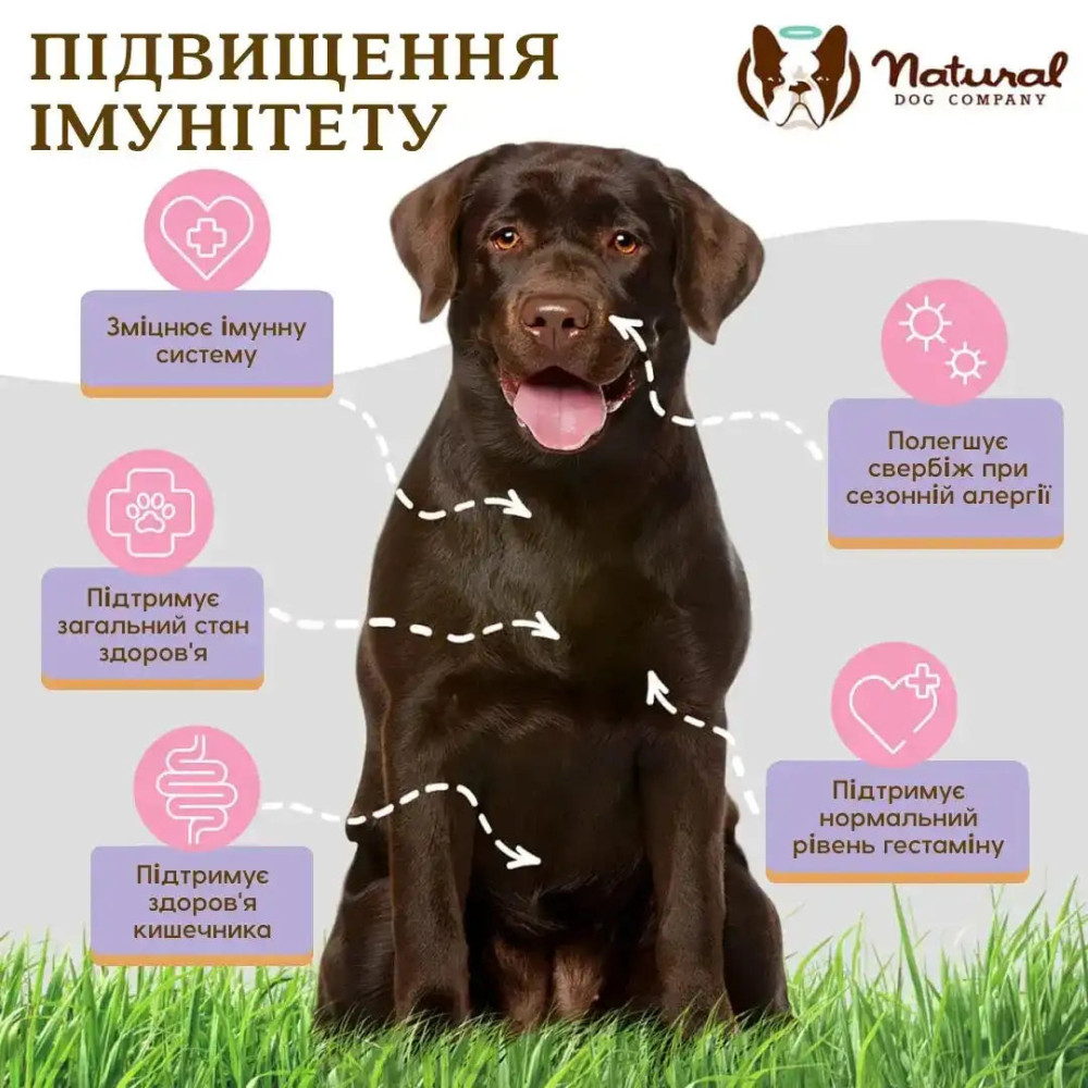 Вітамінний комплекс для імунітету проти алергії Aller-Immune Natural Dog Compan, 90шт, 90 шт.