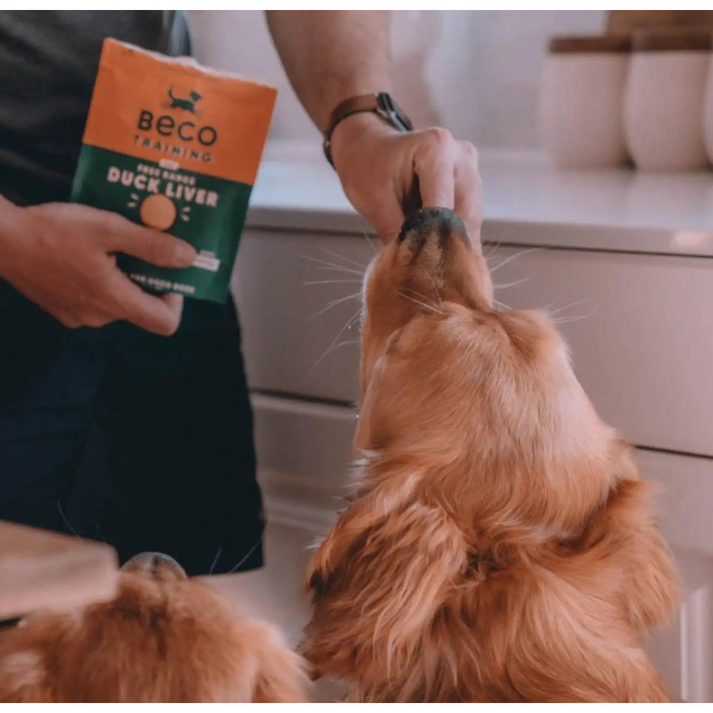 Печиво для собак Beco Pets Печінка качки з шавлієм та морквою 60 г, 60 грам.