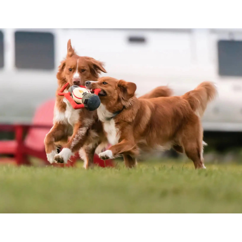 Іграшка для собак Camp Corbin - Lantern Pet Play