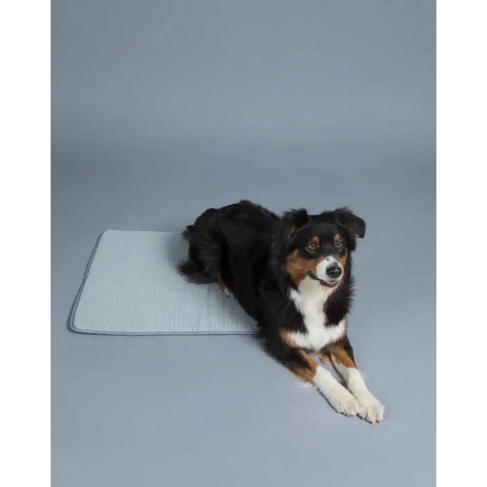 Килимок для собак Охолоджуючий Cooling Blanket Grey Paikka, 80*60см.