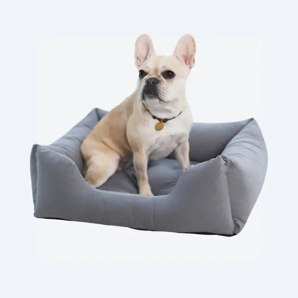 Лежанка для собак Dominic Grey Rock - Noble Pet, S