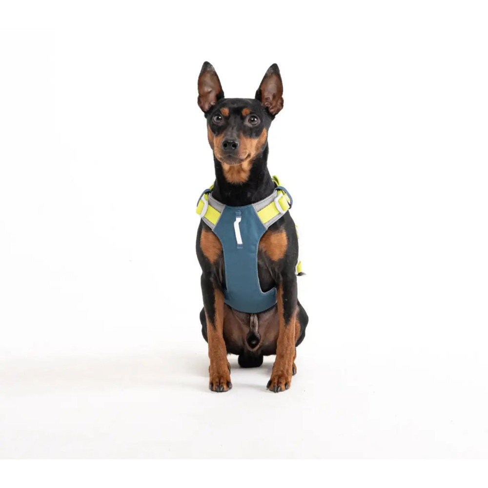 Шлея для собак Woolly Wolf Alpha 360 Harness Deep Teal Mix, XS