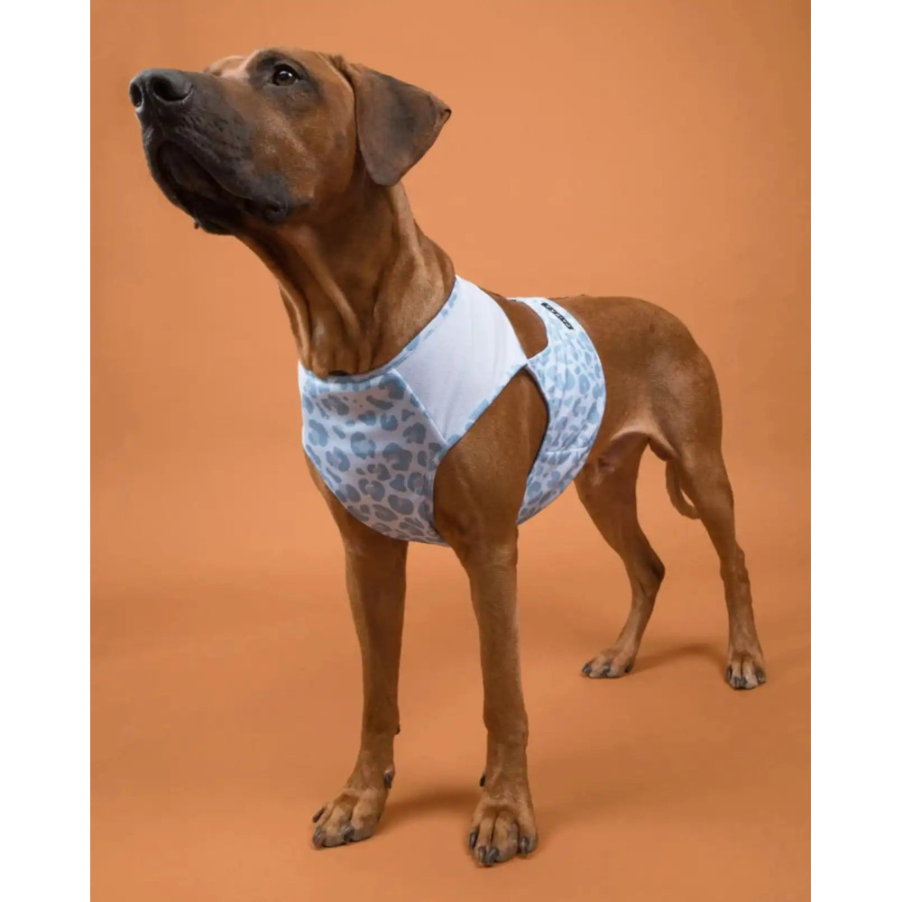 Охолоджуючий жилет для собак PAIKKA Cool Vest Snow Leo, XXS