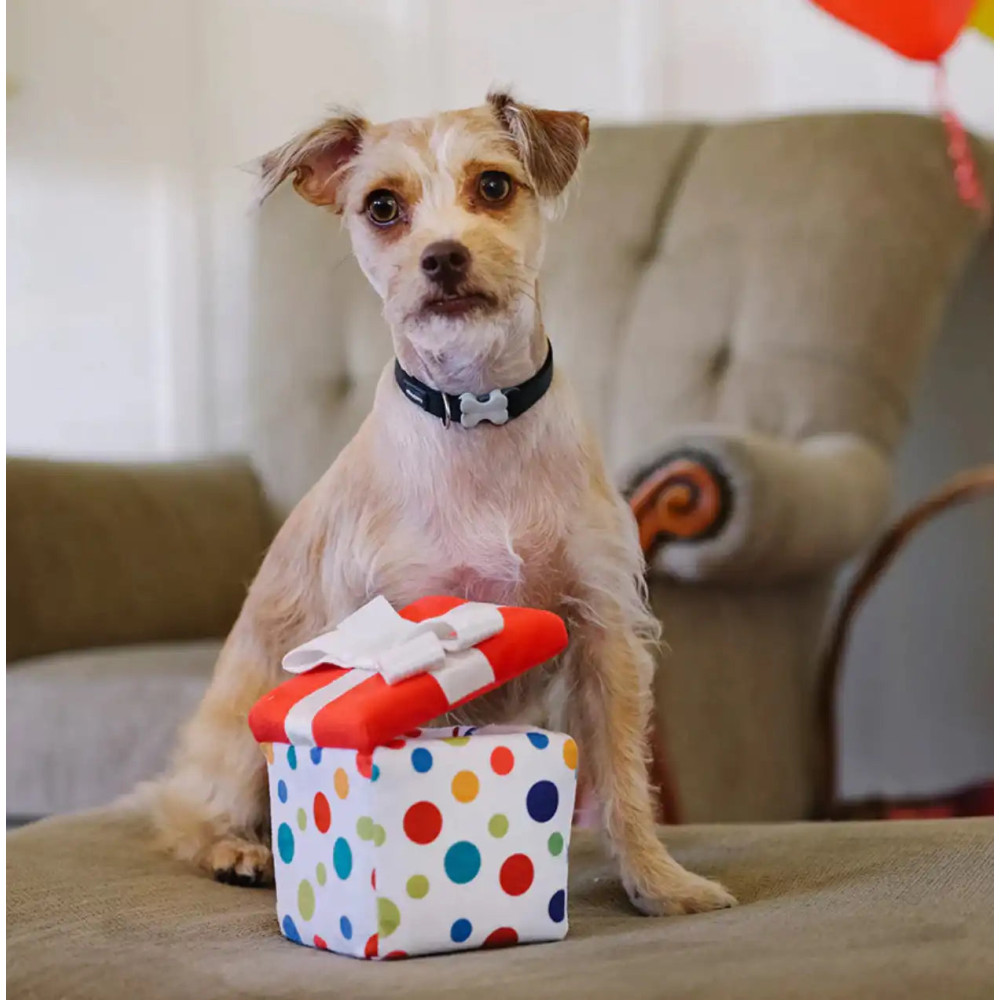 Іграшка для собак Party Time Collection - Party Present Pet Play, Mini