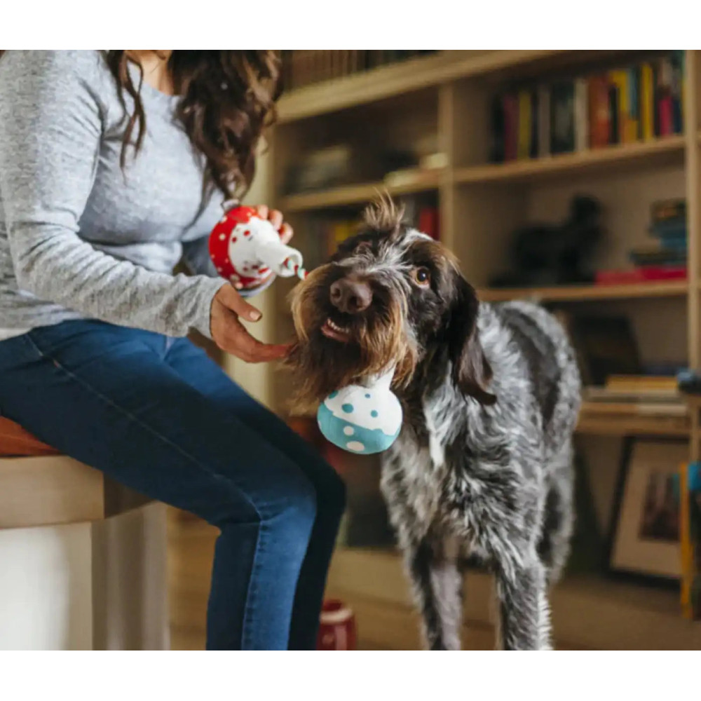 Іграшка для собак BackToSchool Collection - Beakers Pet Play
