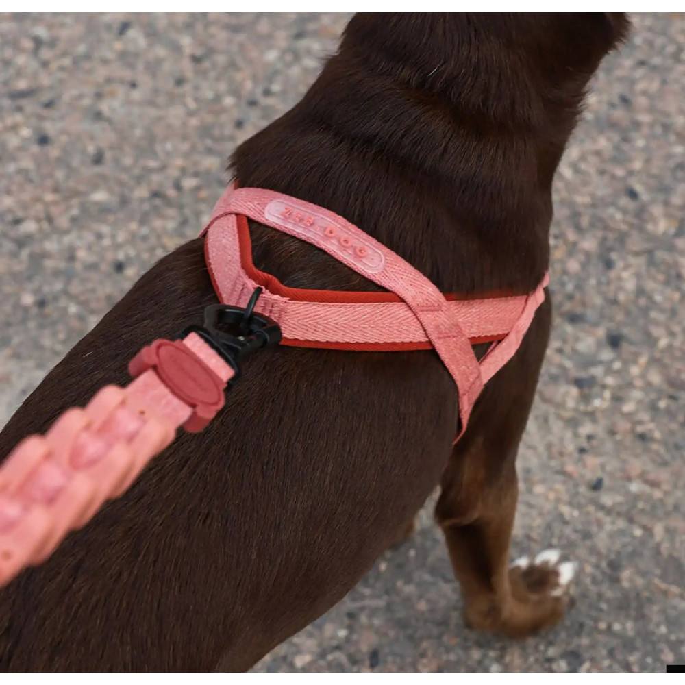 Шлея для собак Zee.Dog - CANYON SOFTER WALK HARNESS, S