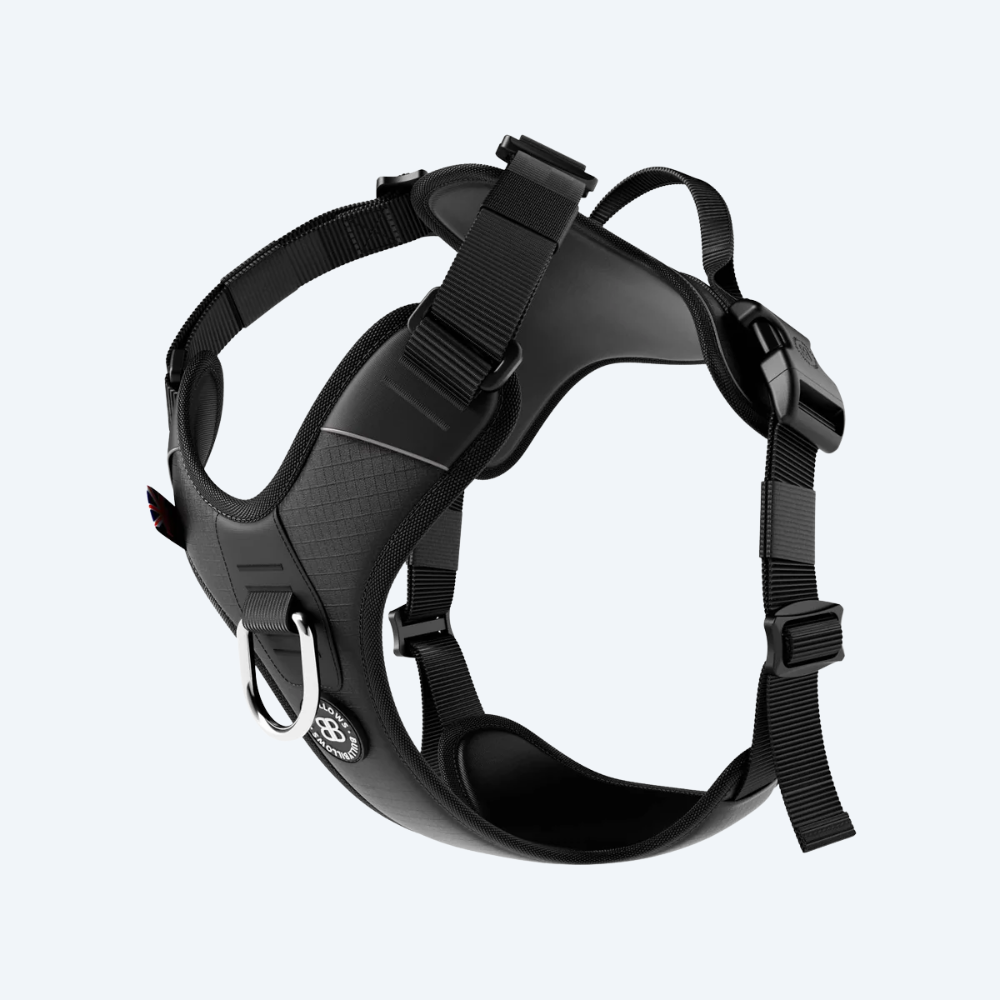 Шлея для собак BullyBillows Hurricane Harness Black, A