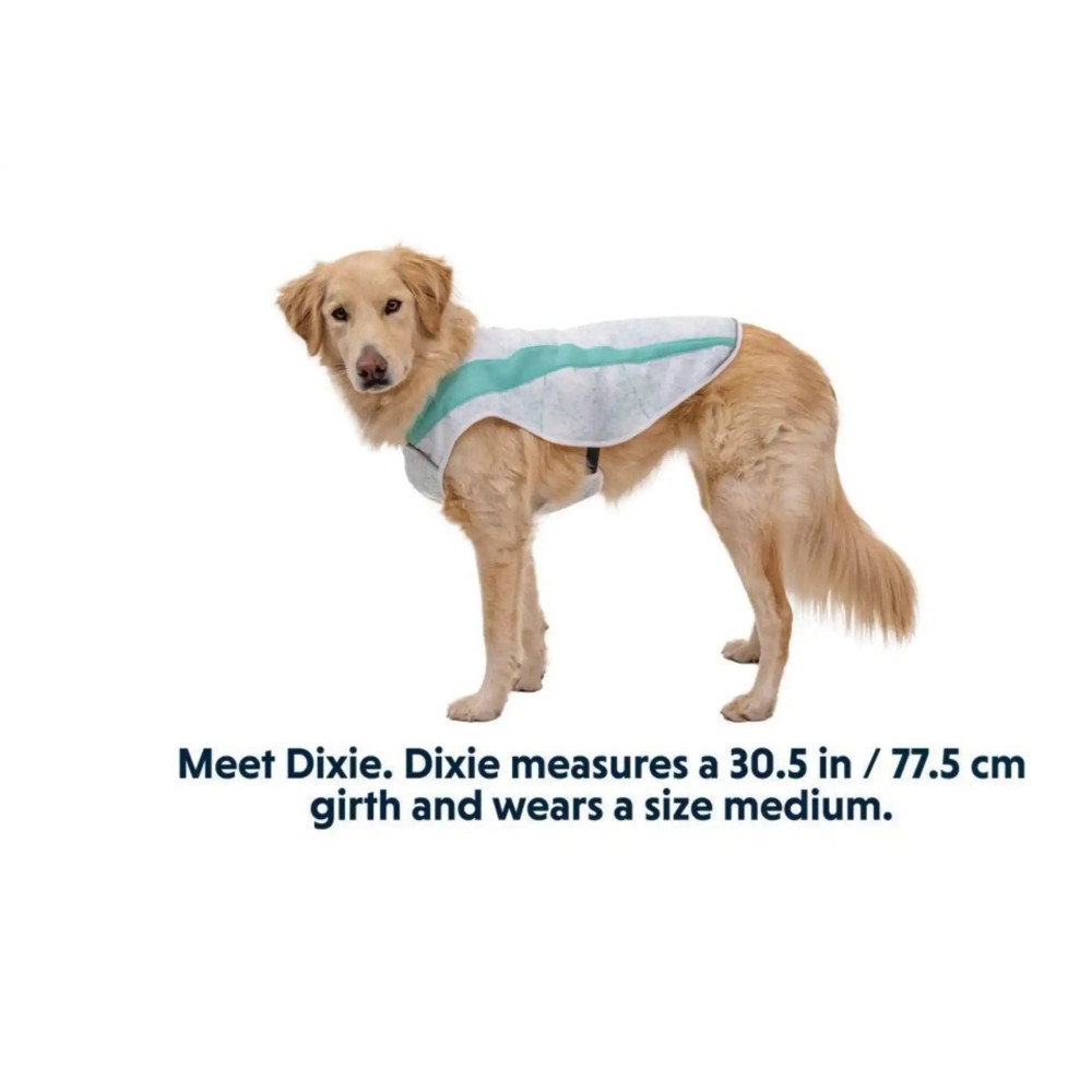 Охолоджуючий жилет для собак Ruffwear Swamp Cooler Зелений, XXS